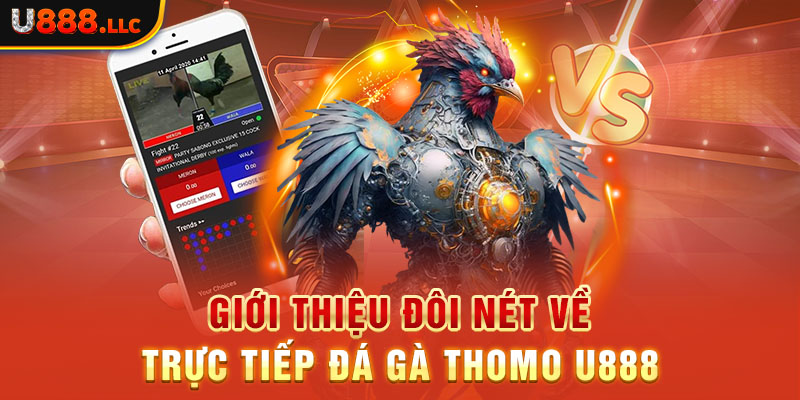 Giới thiệu đôi nét về trực tiếp đá gà Thomo U888