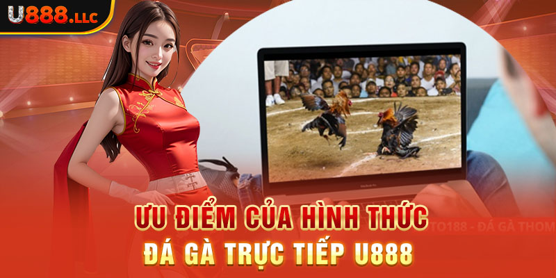 Ưu điểm của hình thức đá gà trực tiếp U888