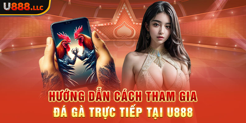 Hướng dẫn cách tham gia đá gà trực tiếp tại U888