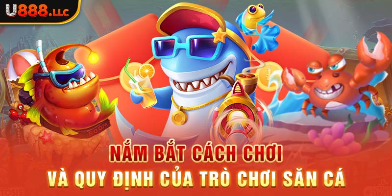 Nắm bắt cách chơi và quy định của trò chơi săn cá